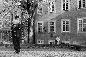 Scena teatrale, 2024 (Digitális vegyes technika) alkotó: Olivia Gozzano