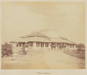 Planter bungaló