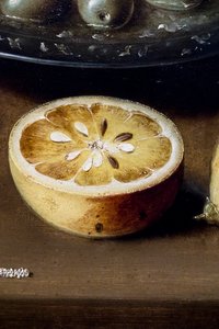 Csendélet osztrigával és süteményekkel