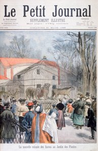Az új vadmacska ház a Jardin des Plantes-ban, Párizs, 1895 alkotó: Oswaldo Tofani