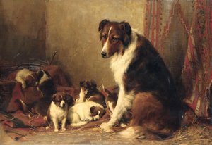 Egy Collie a kölykeivel