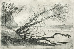 Old Sycamore, 1877. alkotó: Otto H. Bacher