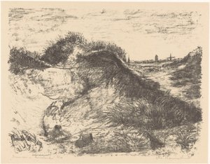 Dunes in Ameland (eredeti cím az objektumon)