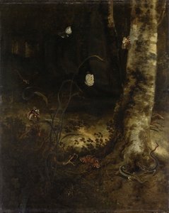  alkotó: Otto Marseus van Schrieck