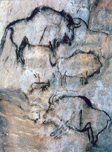 Sérült bölény, Magdalén (barlangfestés)