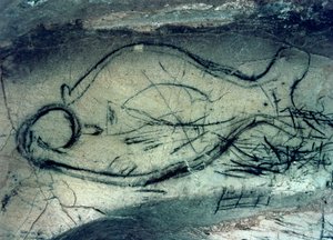 Tengeri alak, paleolitikum (i.e. 40000-12000 körül) (fotó)