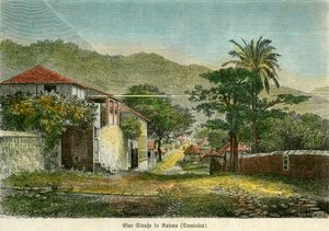 Egy utca Roseauban, Dominikában, 1880. alkotó: Pann