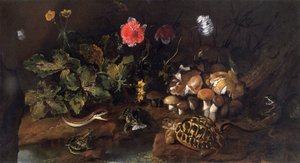 "Csendélet kígyóval, békával, teknősbékával és gyíkkal", 1656-1673