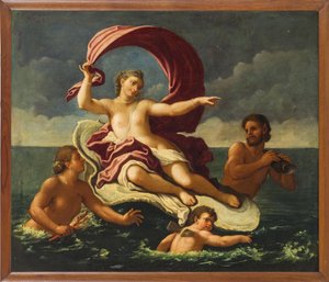 Galatea diadala.