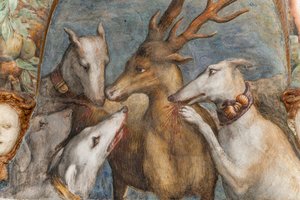 A szarvasbikává alakított Actaeont saját kutyái eszik meg Diana és Actaeon szobájából, az északi falból, 2384753 részlet alkotó: Parmigianino
