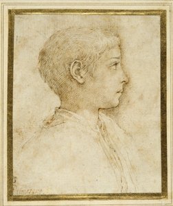 Egy fiú mellszobra profilban jobbra (toll és barna tinta fehér papíron) alkotó: Parmigianino
