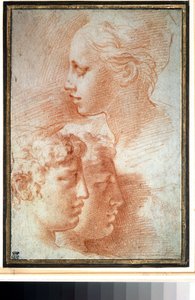 "Etude de tetes" (A fejek tanulmányozása). Fiatal lány és fiú arcprofilja. Girolamo Francesco Maria Mazzola vagy Mazzuoli dit il Parmigianino (A parmezán) rajza alkotó: Parmigianino