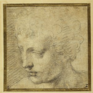 Egy fiú feje, majdnem profilban balra (fekete kréta színezett papíron) alkotó: Parmigianino