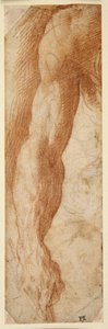 Egy férfi jobb karjának tanulmányozása, a kezében bottal (piros kréta fehér papíron) alkotó: Parmigianino