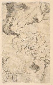 Két tanulmány a lovak fejéről (töredék) (verso) alkotó: Parmigianino