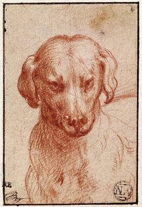 Kutya feje (piros kréta papíron) alkotó: Parmigianino
