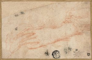 A bal kéz és csukló vázlata alkotó: Parmigianino