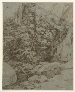 Egy táj tanulmányozása alkotó: Parmigianino