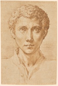 Egy fiatalember feje alkotó: Parmigianino