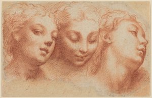 Három női fej alkotó: Parmigianino