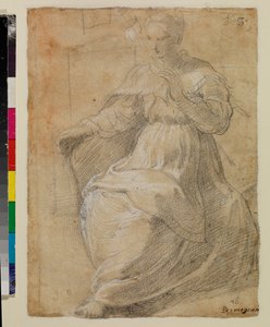 Nő a kezében egy bot alkotó: Parmigianino