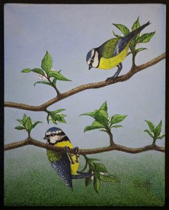 Bluetits, 2016 alkotó: Pat Scott