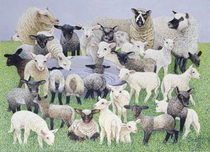 Feeling Sheepish (olaj, vászon)