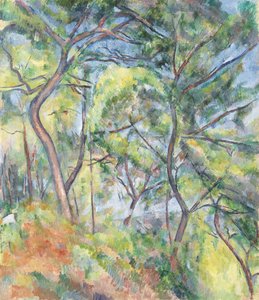 Aljnövényzet alkotó: Paul Cézanne