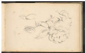 Pünkösdi rózsa alkotó: Paul Cézanne