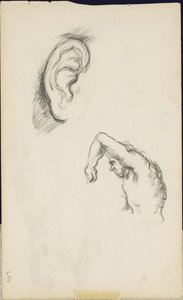 Tanulmányok Luca Signorelli után: egy fül és egy férfialak, 1877-80 körül alkotó: Paul Cézanne