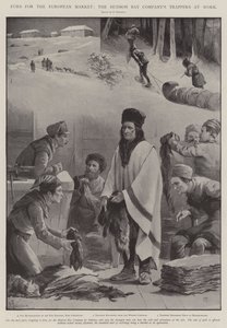 Prémek az európai piacra, a Hudson Bay Company Trappers at Work