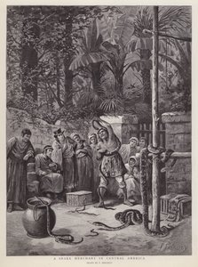 Kígyókereskedő Közép-Amerikában (litho) alkotó: Paul Frenzeny