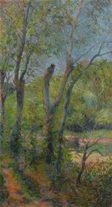 Franciául:  Les Saules Willows alkotó: Paul Gauguin