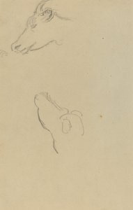 Egy tehén feje [recto] alkotó: Paul Gauguin