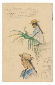 Vázlatok figurákról, pandanus levélről és vanílianövényről alkotó: Paul Gauguin