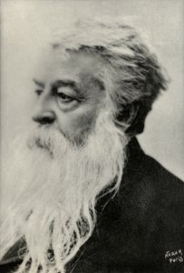 Ernest Messonnier portréja (fénykép) alkotó: Paul Nadar