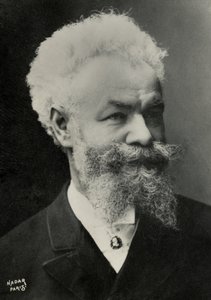 Michel Munkaczy portréja (fotó)