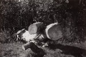 Objektum keresése alkotó: Paul Nash