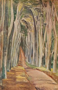 Savernake-erdő, 1935