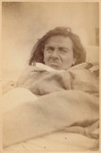 Hisztérikus epilepszia, hallucinációk, undor, XXXV. tábla a Bourneville et P. által készített "Iconographie Photographique de La Salpetriere" című műből. Regnard, Párizs, 1876 (albumin nyomat) alkotó: Paul Regnard