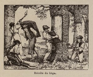  alkotó: Paul de Laubadere