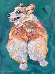 Élénk színű corgi kutya