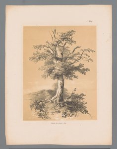 Bumm Paulus Lauters festői arcai (sorozat címe) Etrennes pittoresques pour 1839, Lauters (sorozat címe)