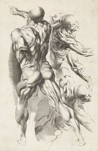 Három kinyújtott karú figura anatómiai vizsgálata Peter Paul Rubens rajzkönyve (sorozat címe)