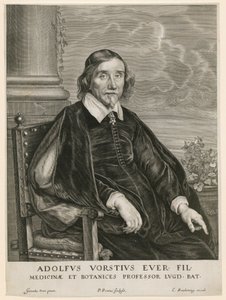 Adolph Vorst, leideni professzor portréja alkotó: Paulus Pontius