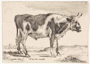 foltos ökör Ökörök és tehenek (sorozat címe) alkotó: Paulus Potter (rejected attribution)