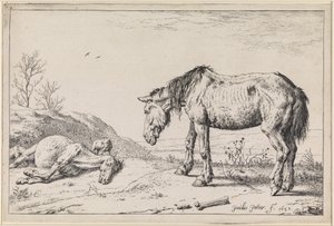 Elcsigázott lovak alkotó: Paulus Potter
