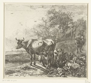 De veehoeder   1376093   hu       hungarian Successfully Translated  Original: Urania, Muse of Astronomy, plate 15 from Parnassus Biceps Translat: Urania, Muse of Astronomy, plate 15 from Parnassus Biceps 1380831 hu hungarian Successfully Translated Origin alkotó: Paulus Potter