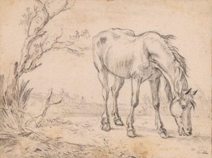 Legelésző ló alkotó: Paulus Potter