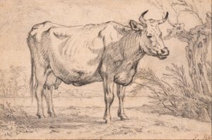 Álló tehén alkotó: Paulus Potter